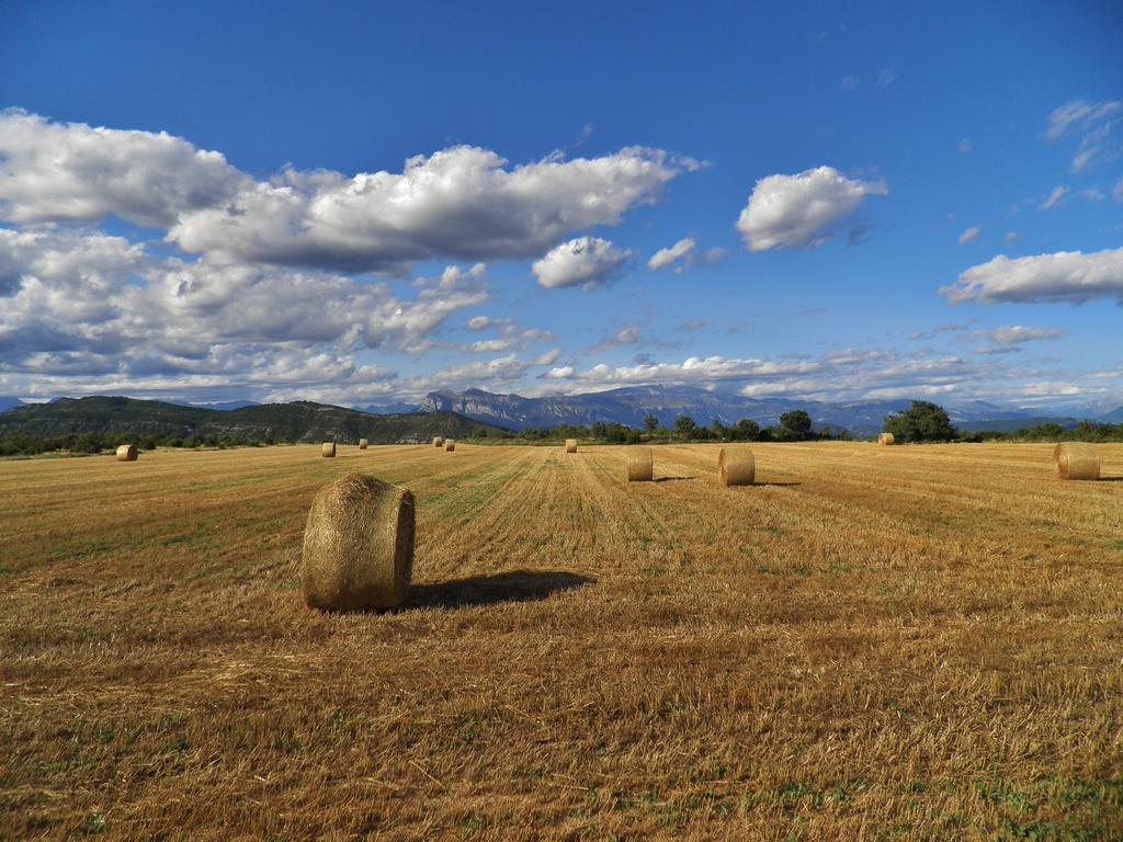 Meson De L’ainsa Aínsa